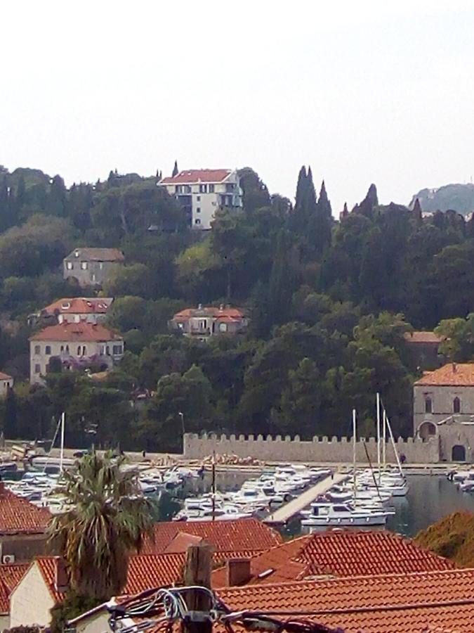 Apartman Ivana Apartment Dubrovnik Bagian luar foto